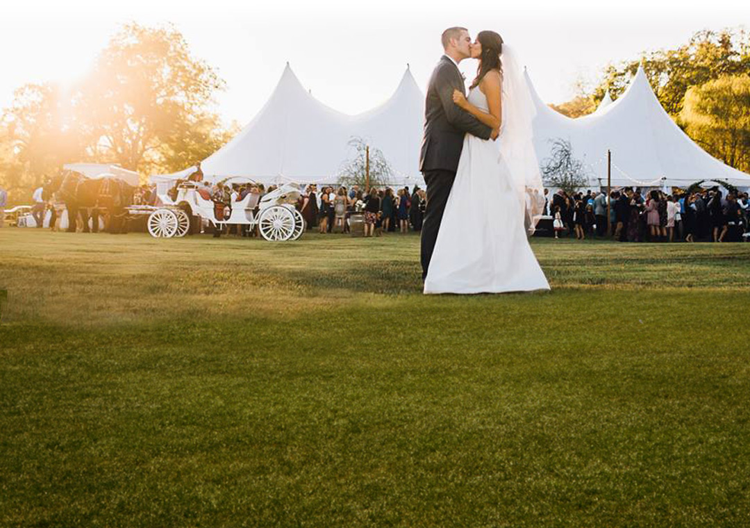 Corporate or Wedding event